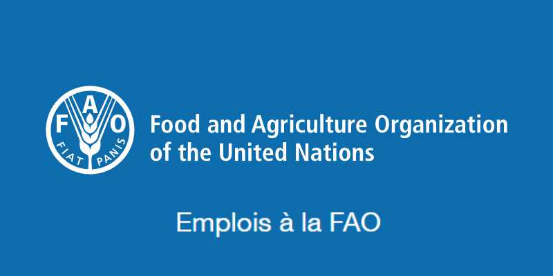 Des postes vacants au FAO, dont deux au siège 23 juillet 2026