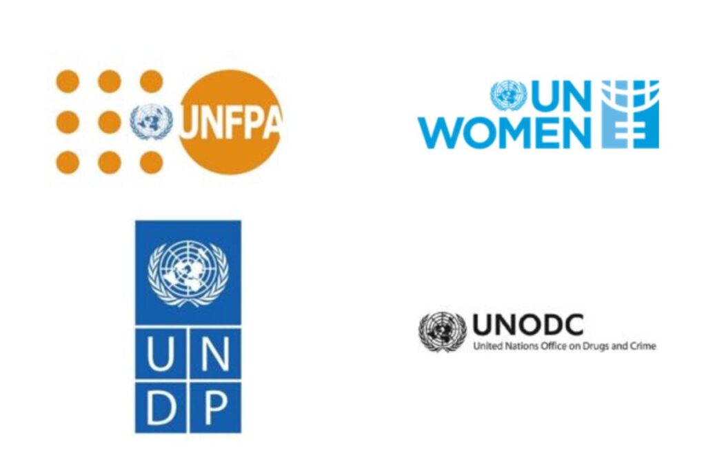 Formation en ligne du PNUD, de l'UNFPA, de l'ONU FEMMES et de l'UNODC pour travailler dans le social