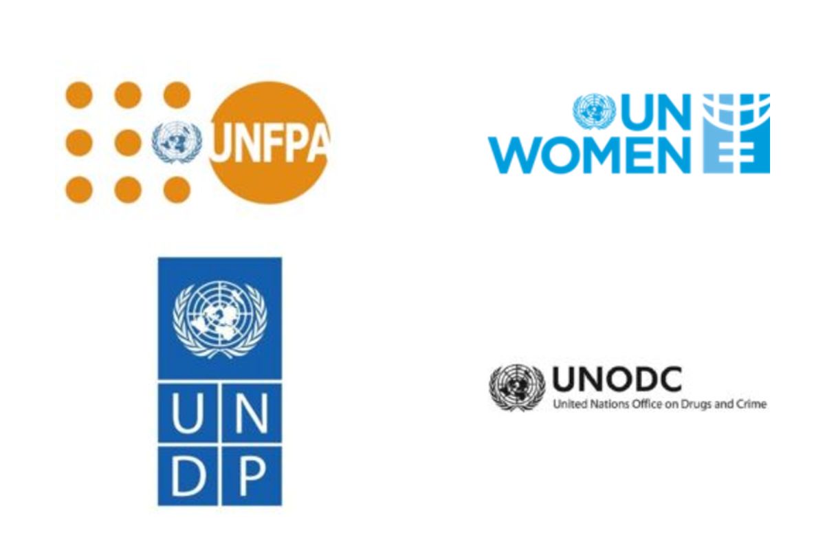 Formation en ligne du PNUD, de l'UNFPA, de l'ONU FEMMES et de l'UNODC pour travailler dans le social