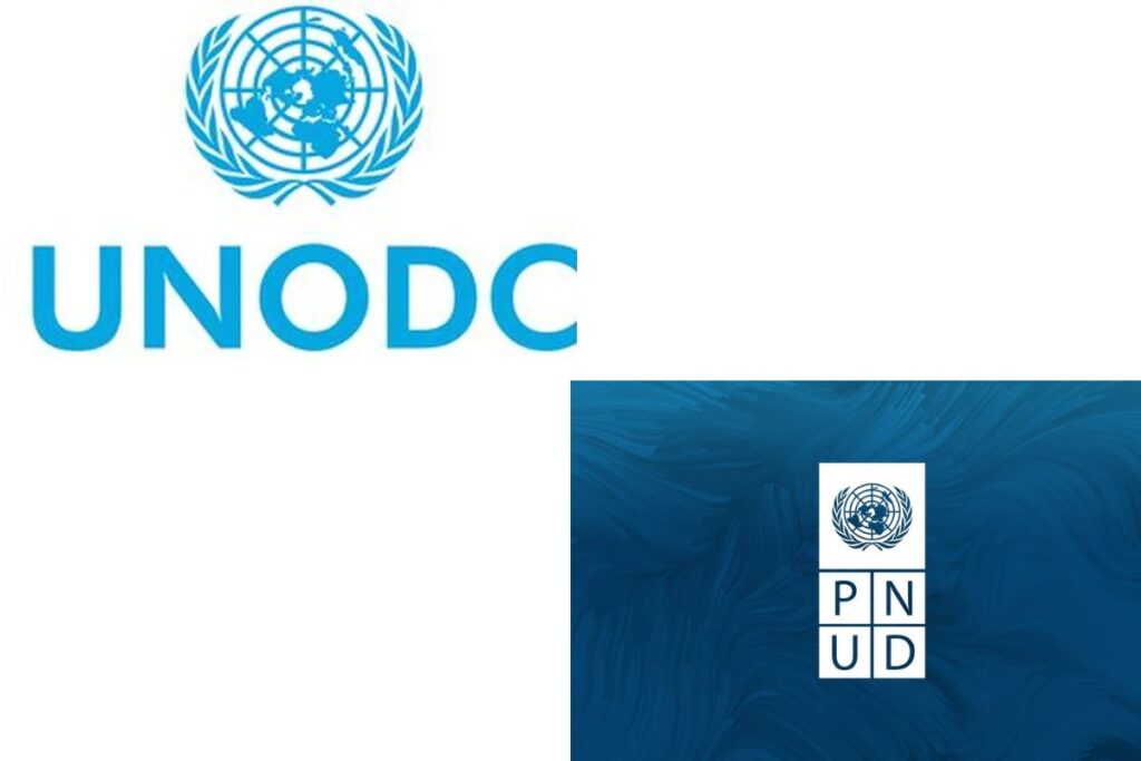 Formation gratuite en ligne du PNUD et de l'ONUDC