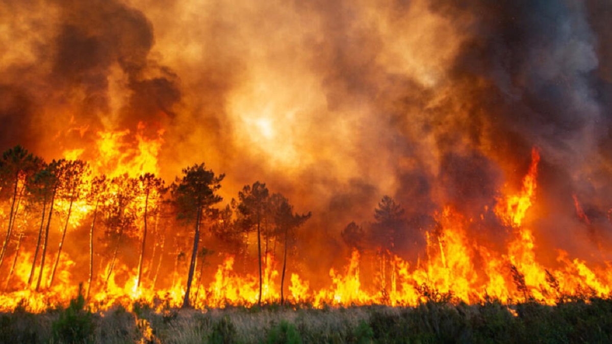 France : la lumière se fait enfin sur les principales causes de l'incendie en Gironde