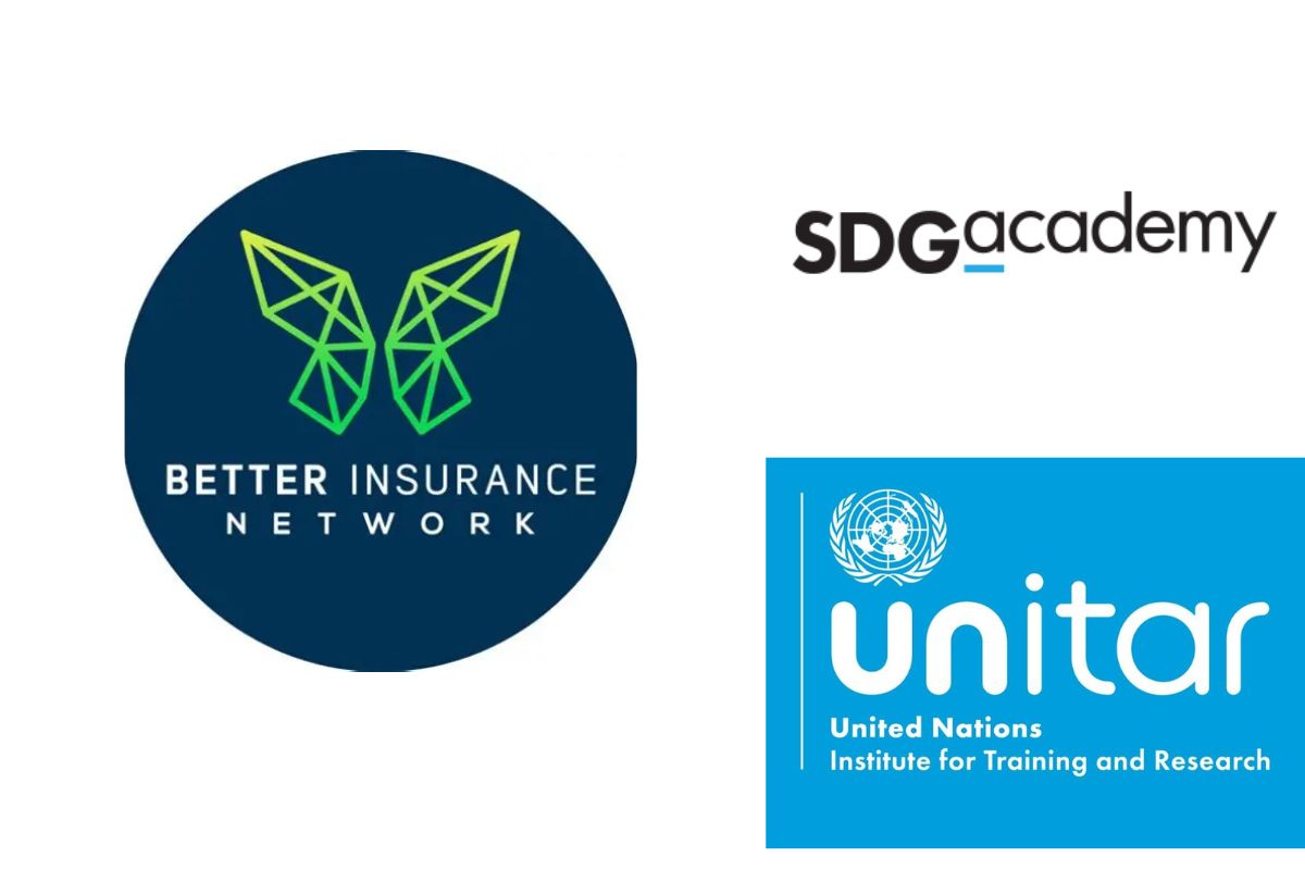 Gestion des risques formation en ligne de l’UNITAR, de l'Académie ODD et du BIN pour travailler dans l’assurance