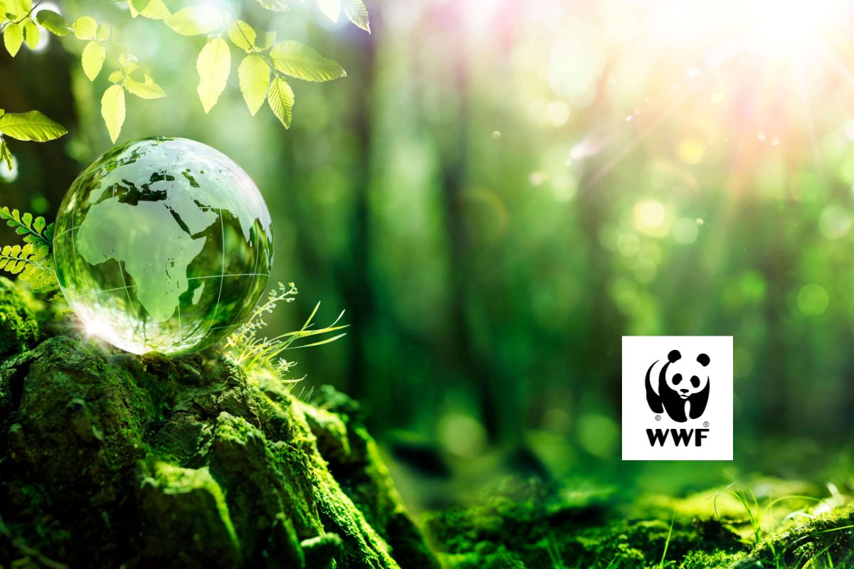 Offre de stage au WWF, Fonds Mondial pour la Nature 20 août 2026