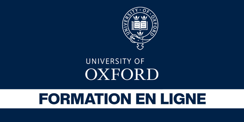 Leadership formation en ligne offerte par l'Université d'Oxford