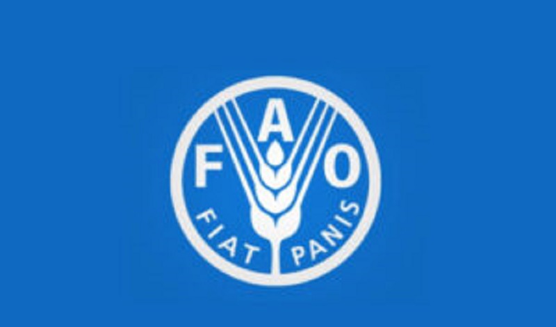 Poste de volontariat à la FAO 14 août 2026