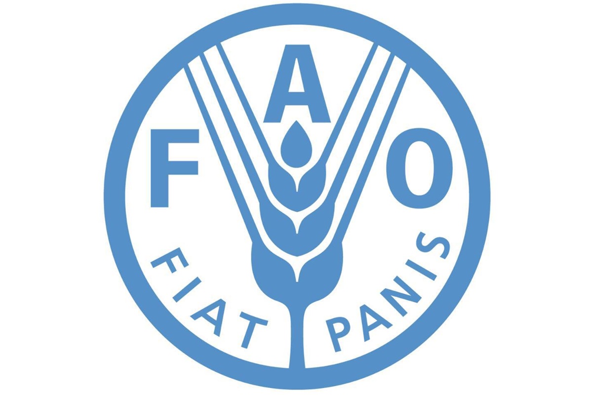 Recrutement pour plusieurs postes à la FAO 27 juillet 2026