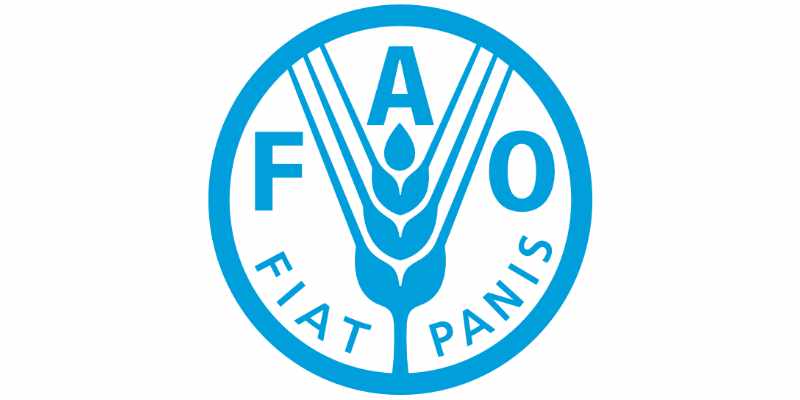 Sécurité alimentaire formation en ligne offerte par le FAO (1er juillet 2026)