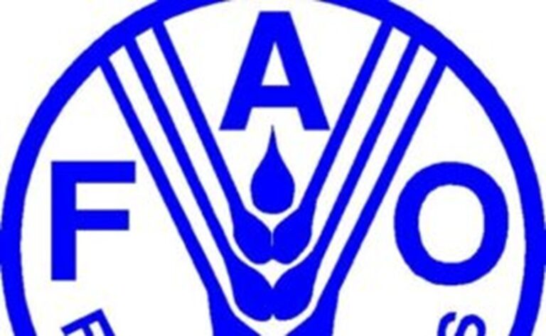 Appel d’offre de la FAO pour l'Achat de semences irriguées, engrais et outils agricoles
