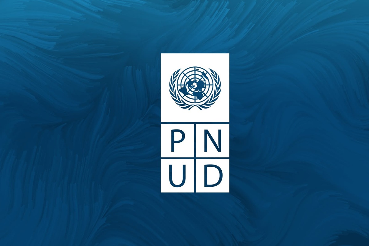Stage disponible au PNUD 18 août 2026