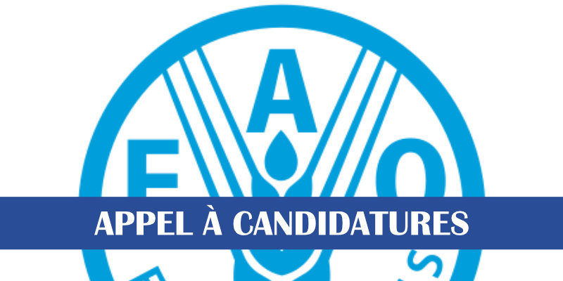 Ouverture du programme de recrutement de la FAO Young Professionals Programme (YPP)