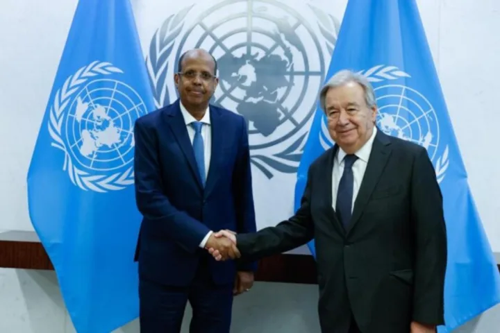 Crise en RDC : le Togo reçoit le soutien de l’ONU et de l’UA dans sa médiation