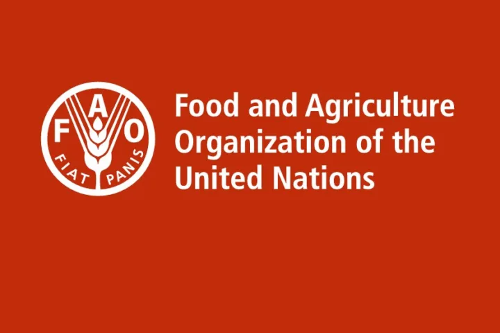 La FAO, Organisation des Nations Unies pour l’alimentation et l’agriculture recrute pour ce poste – 10 septembre 2026