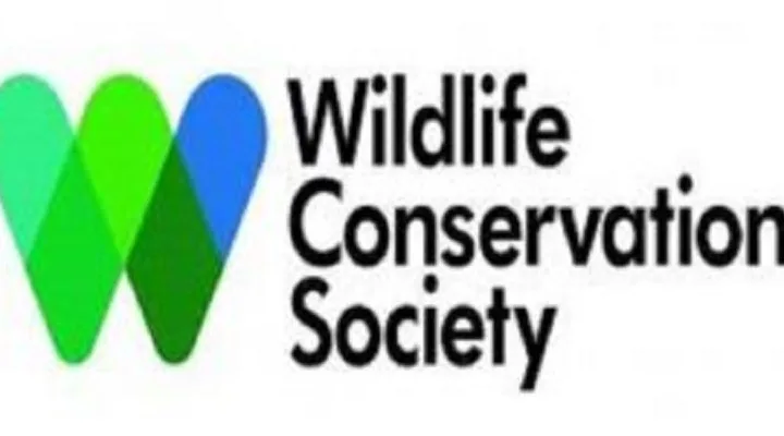 Nouveau poste à pourvoir à l’ONG Wildlife Conservation Society WCS – 25 Septembre 2026