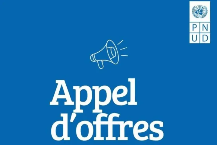 Appel d’offre du Programme des Nations Unies pour le Développement (PNUD) 06 Septembre 2026