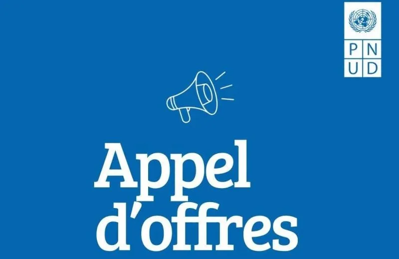 Appel d’offre du Programme des Nations Unies pour le Développement (PNUD) 06 Septembre 2026