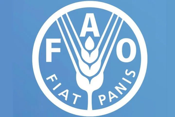 Programme des boursiers de la FAO 2026