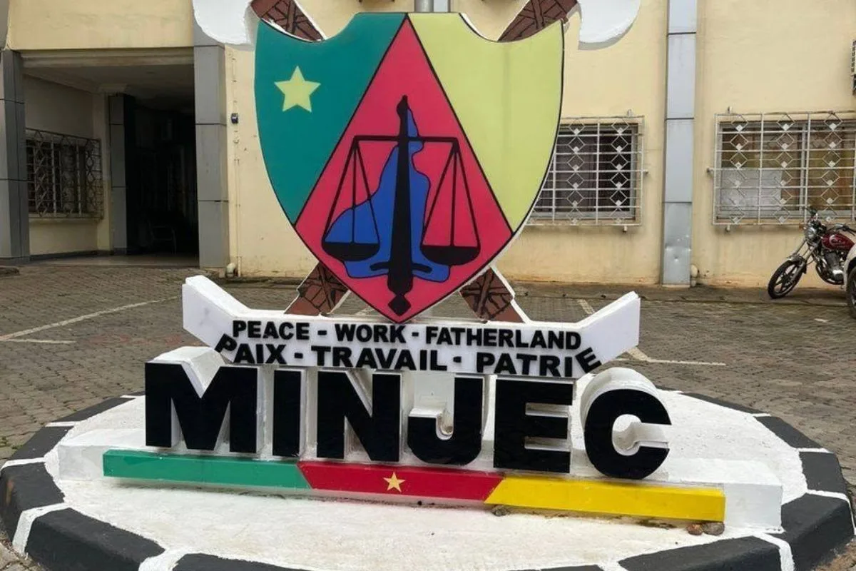 Appel à candidatures du concours national des artisans boulangers Youth Connekt Cameroon 2026
