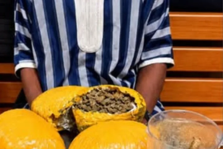 Suspect interpellé à Adjamé-Paillet devant 7 kg de cannabis OG-Kush saisis par la police ivoirienne