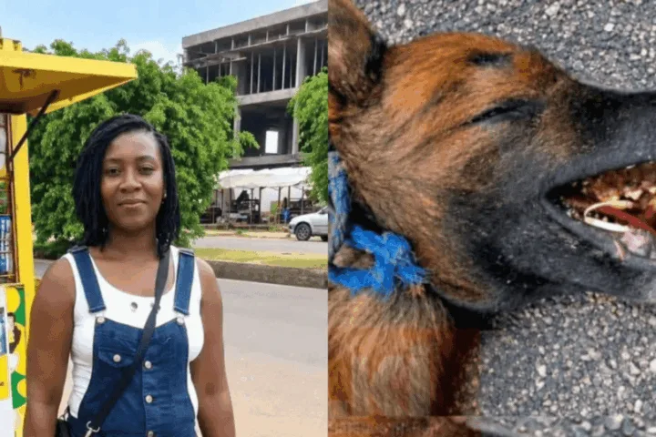 Une employée de maison tuée par cinq chiens au domicile de son employeur