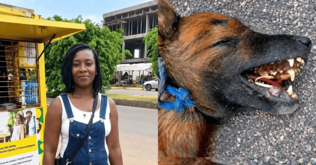 Une employée de maison tuée par cinq chiens au domicile de son employeur