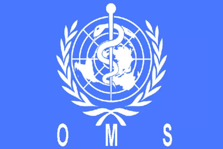 L'Organisation mondiale de la santé recrute un volontaire 22 octobre 2026