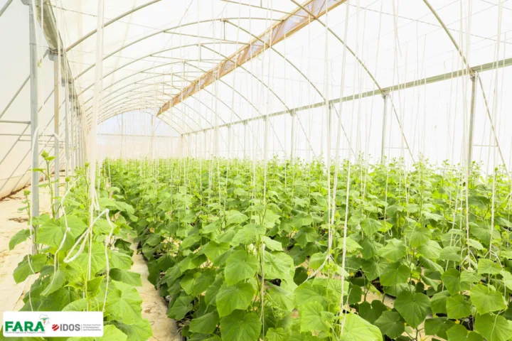 Le Forum pour la recherche agricole en Afrique recrute - 5 octobre 2026