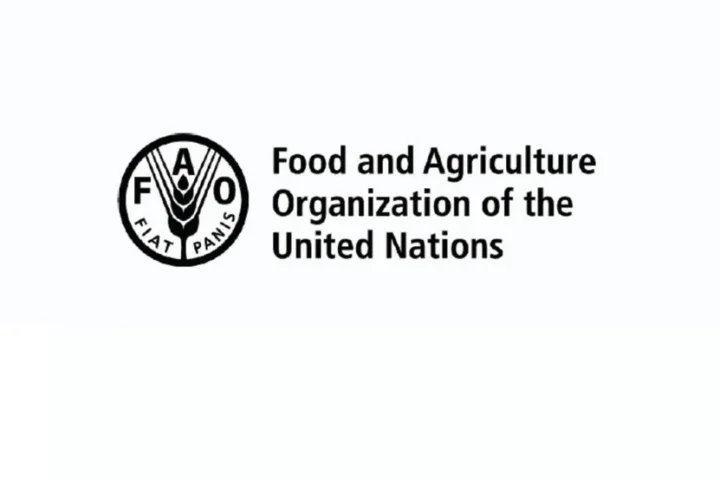 Nouveau cours gratuit de la FAO - Octobre 2026