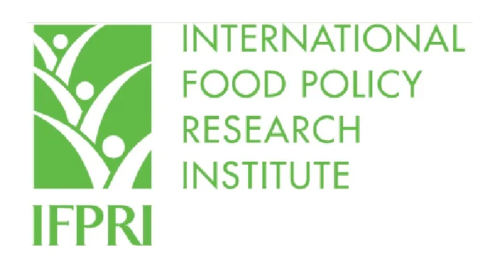 Opportunité un poste de consultant à l'IFPRI - 18 octobre 2026