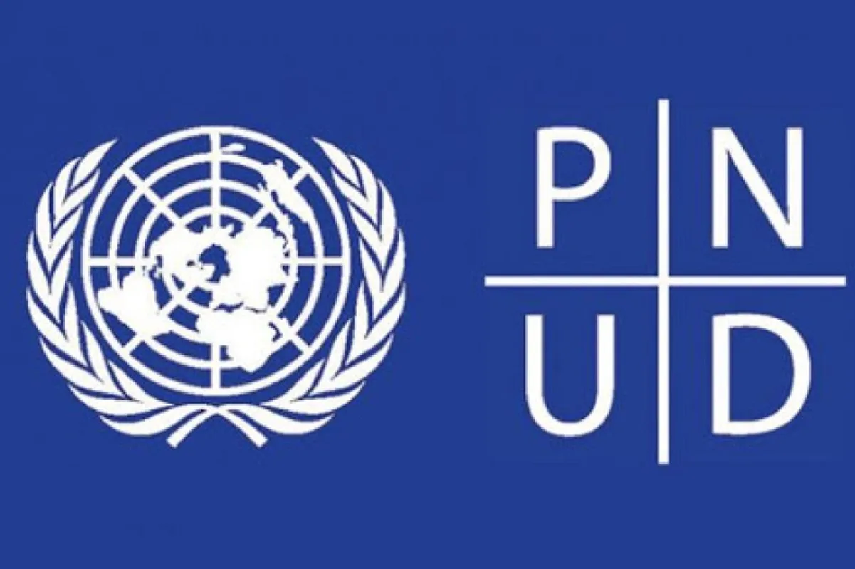Opportunités de stage au PNUD 29 octobre 2026