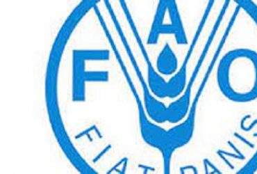 Appel à candidatures de la FAO pour le Prix du champion 2022