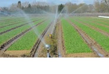Cours en ligne Agronomie et Agriculture Les techniques d'irrigation