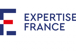 Expertise France recrute pour ces 2 postes (13 Décembre 2021)