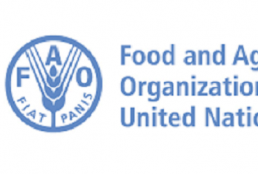FAO recrute pour ce poste (23 Juin 2022)