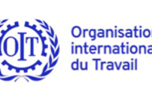 L'Organisation Internationale du Travail (OIT) recrute pour ce poste (25 Juillet 2022)