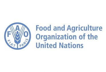 La FAO recrute pour ce poste (24 Décembre 2021)