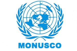 La MONUSCO recrute pour ce poste (29 Novembre 2022)