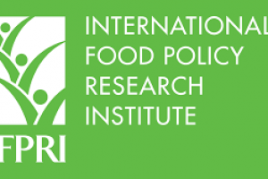Le Bureau de l'Afrique de l'Ouest de recherche sur les politiques alimentaires (IFPRI) recrute pour ce poste (19 Mai 2022)