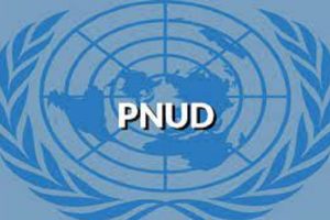 Le Bureau du PNUD recrute deux stagiaires (02 Février 2023)