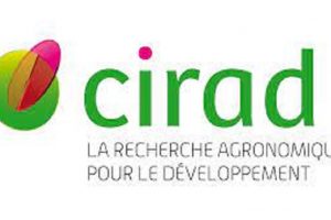 Le Centre de Coopération Internationale en Recherche Agronomique pour le Développement (Cirad) recrute (25 Juin 2022)