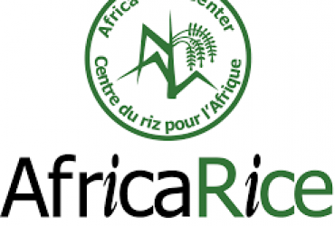 Le Centre du riz pour l'Afrique (AfricaRice) recrute pour ce poste (01 Août 2022)