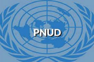 Le PNUD recrute pour ce poste (20 Juin 2022)