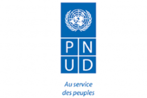 Le Programme des Nations Unies pour le Développement (PNUD) recrute pour ces 08 postes (04 Août 2022)