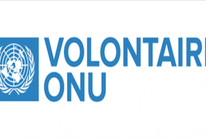 Le Programme des Volontaires des Nations Unies (VNU) recrute pour ces 30 postes (29 Novembre 2022)