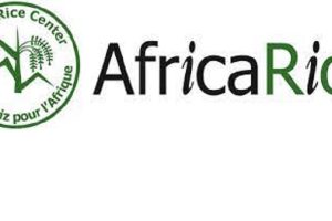 L'organisation de recherche panafricaine AfricaRice recrute pour ces 2 postes (21 Juin 2022)