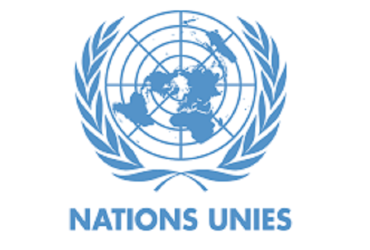 Programme de bourses Pathways 2023 des Nations Unies