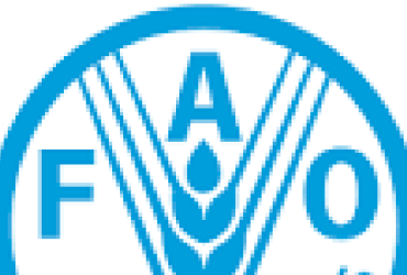 Programme de boursiers pour les bureaux régionauxsous-régionaux, nationaux, de liaison et le siège de la FAO 2023