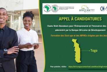 Programme de soutien YEI MDTF de la Banque Africaine de Développement aux jeunes entrepreneurs