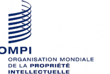 Programme des jeunes experts de l'OMPI pour les leaders émergents de la propriété intellectuelle