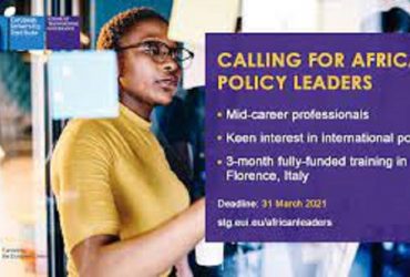 Programme des jeunes leaders africains de l'Institut universitaire européen (IUE) 2022