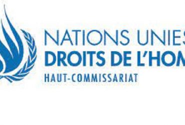 Rapporteur spécial des Nations Unies sur les droits de l'homme Cinquième défi des jeunes pour les droits de l'homme 2022